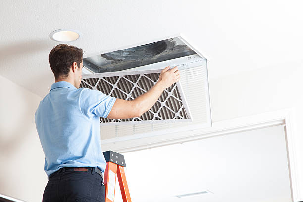 Best Residential HVAC services  in Shelby, MI